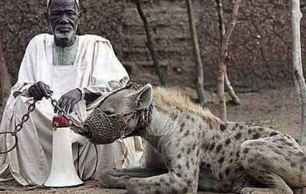 Learn to forgive one another