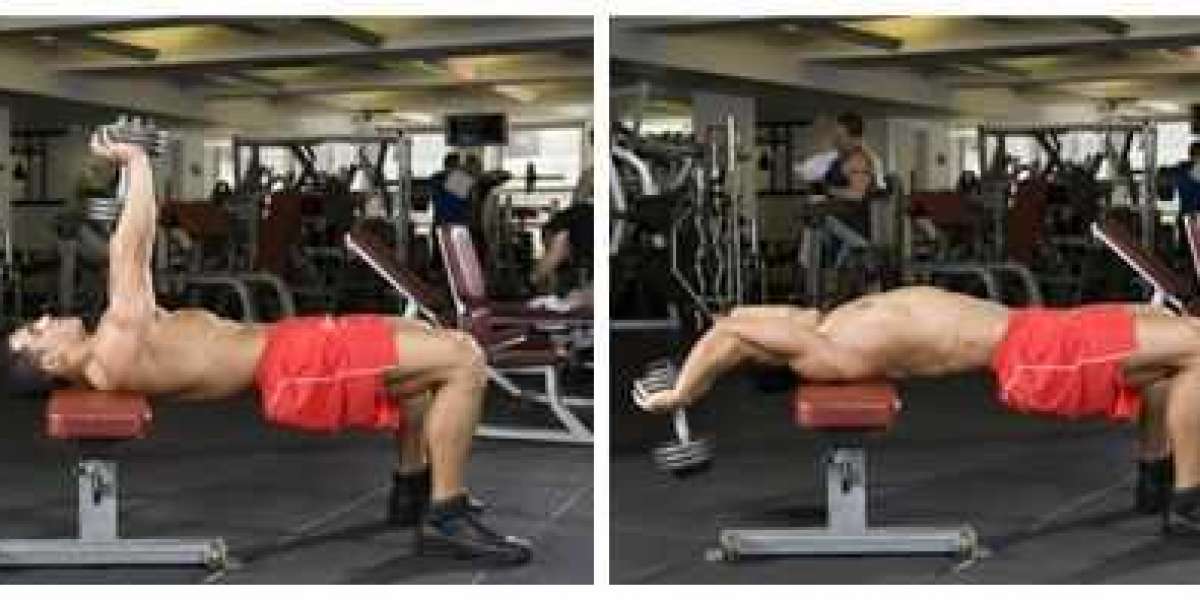 Pull over para pecho por Arnold Schwarzenegger