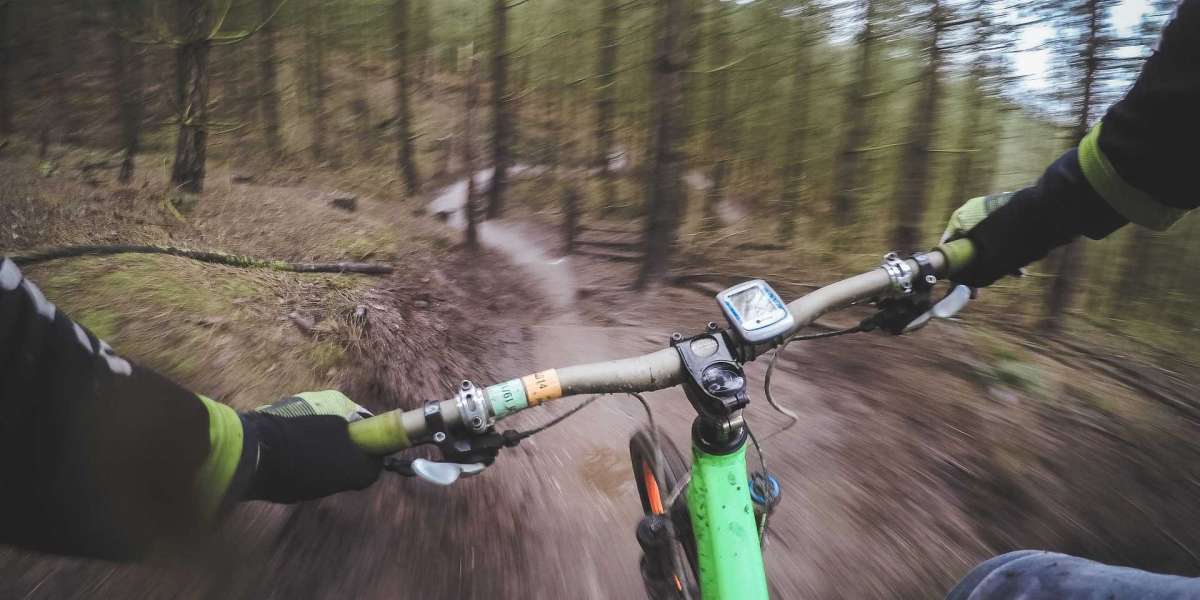 Muskelaufbau und Vegetarier sein