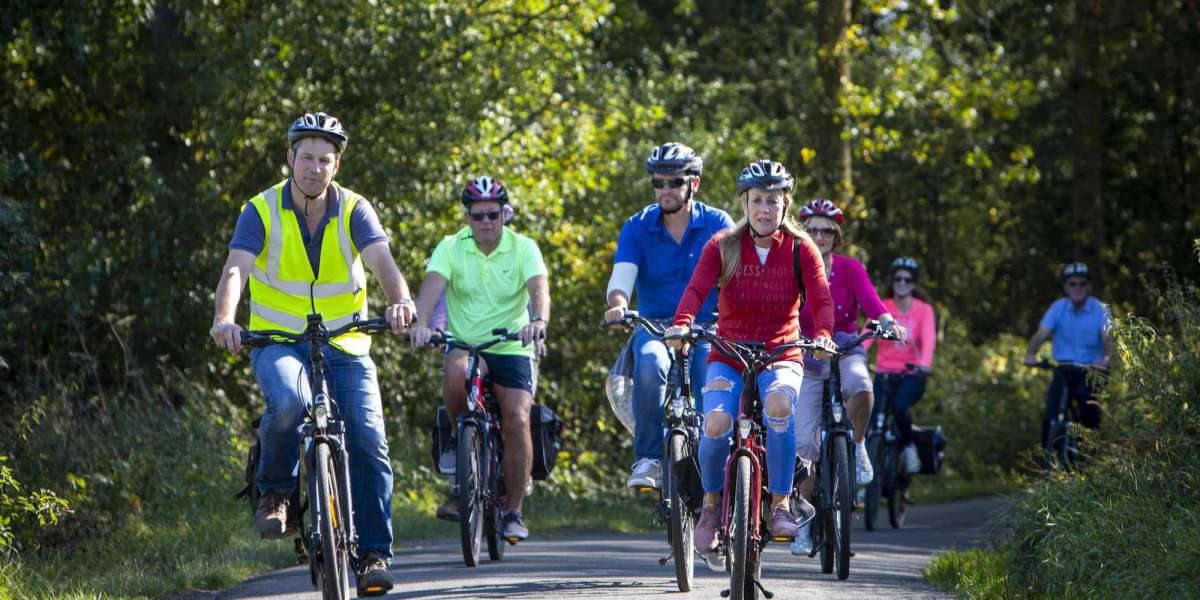 Velectrix Electric Bikes