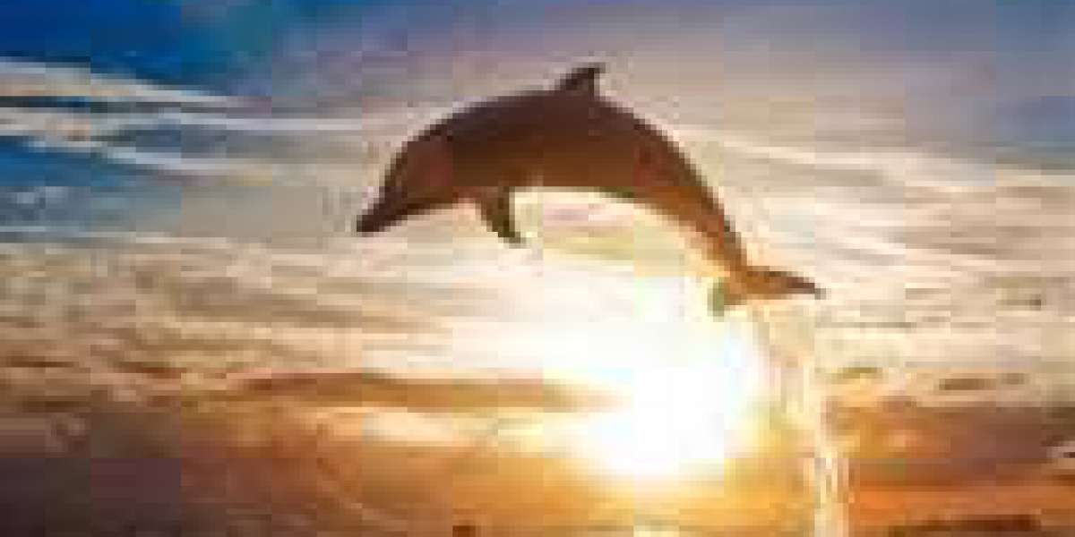 Raiders Launch Centre Rodney Hudson; Should really Chiefs Be Intrigued?