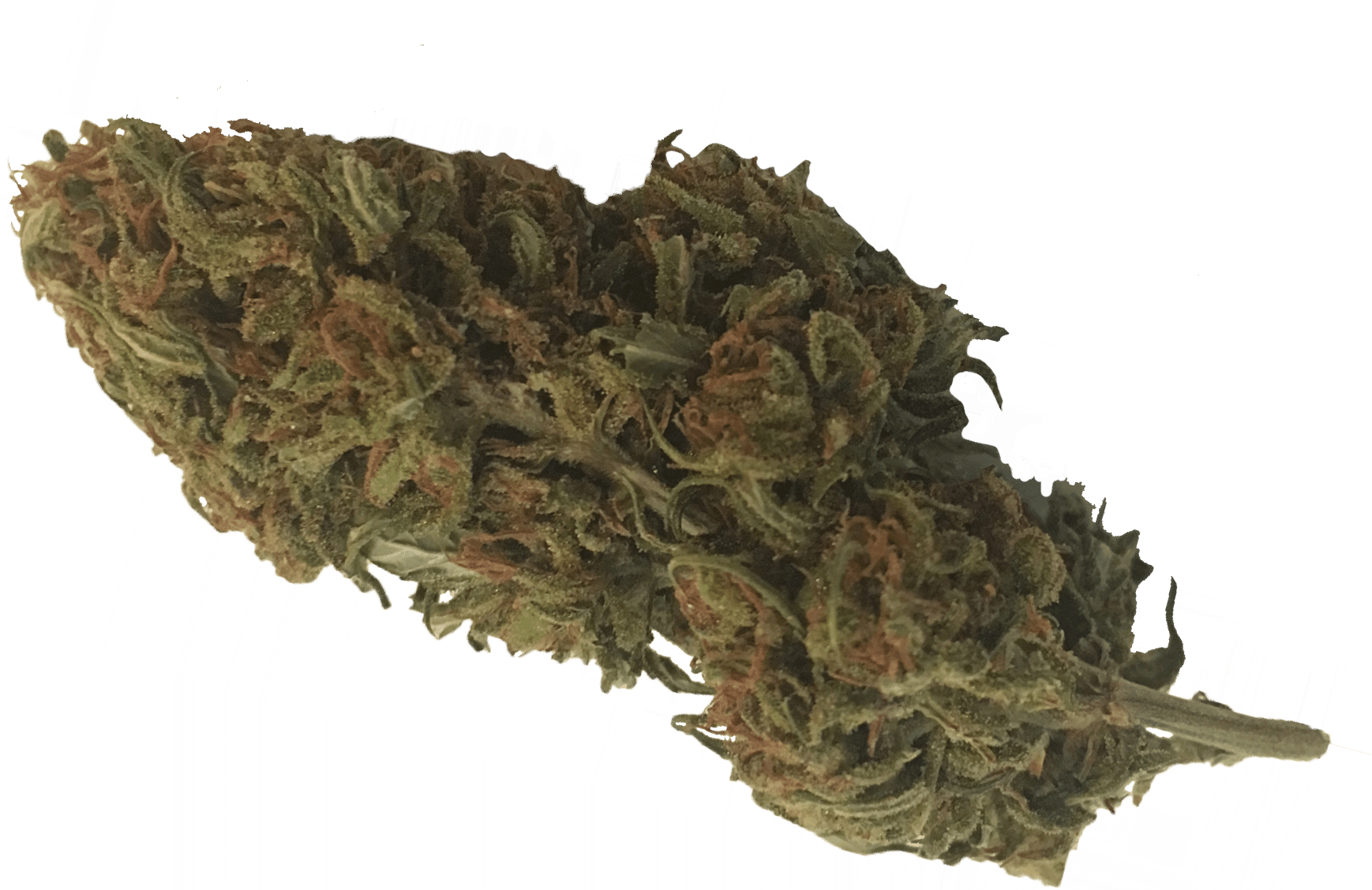 Buy Online Organic Hemp Flower Buds