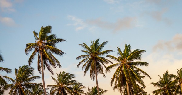 Where can I find cheap accommodations in New York? - Quora