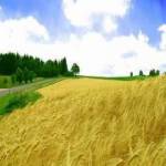 Statesman Academy Chandigarh Profile Picture