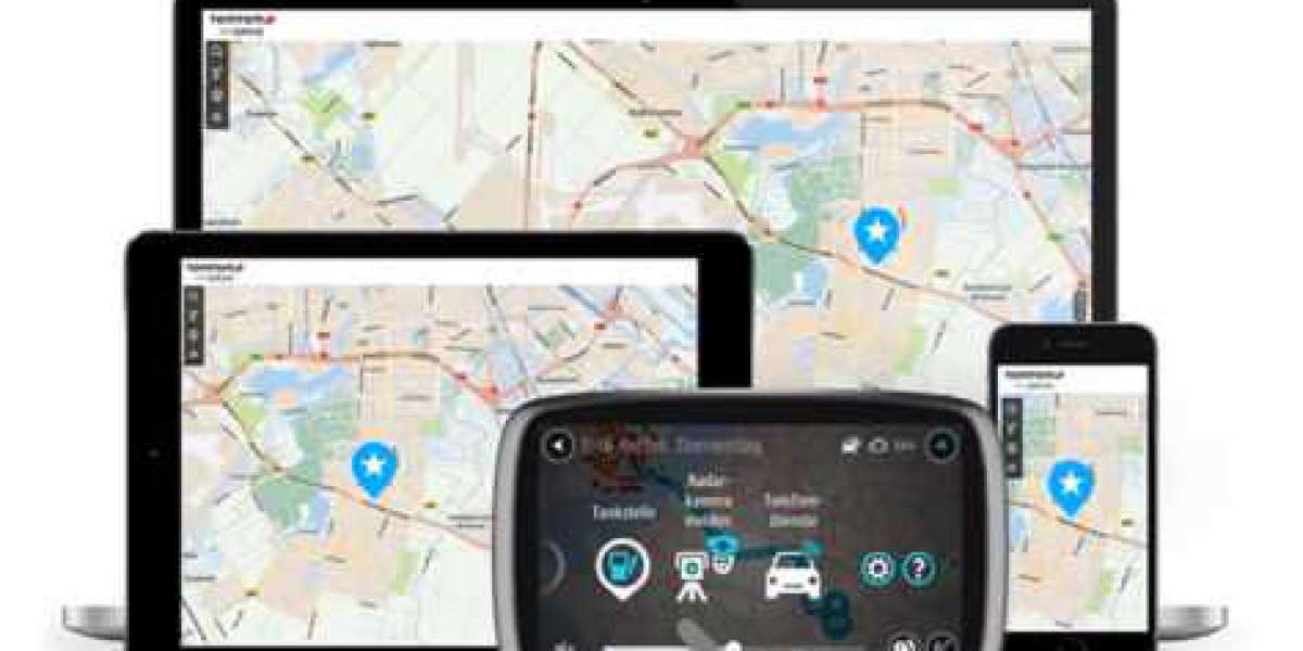 How do I use TomTom Car Navigation Services?
