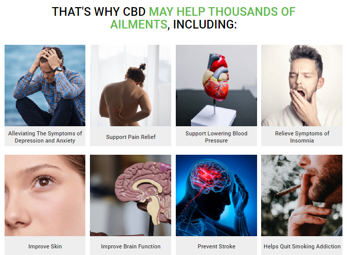 Next Plant CBD Gummies Review - Full Spectrum Gummy to Reduce Pain!