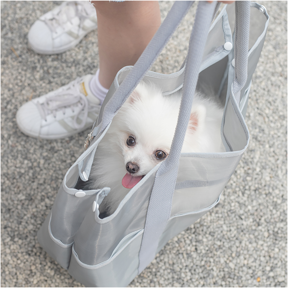 What Should You Look for in a Pet Carrier Tote Bag? – Tinklylife