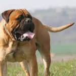 how itstart Profile Picture