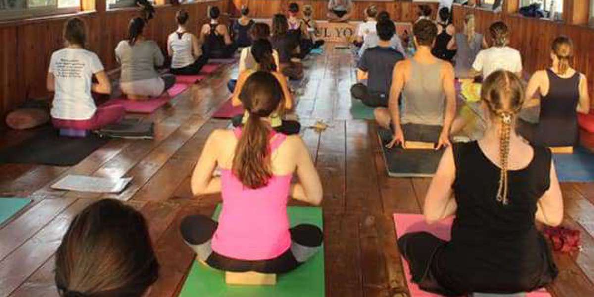 Yoga teacher training course in rishikesh