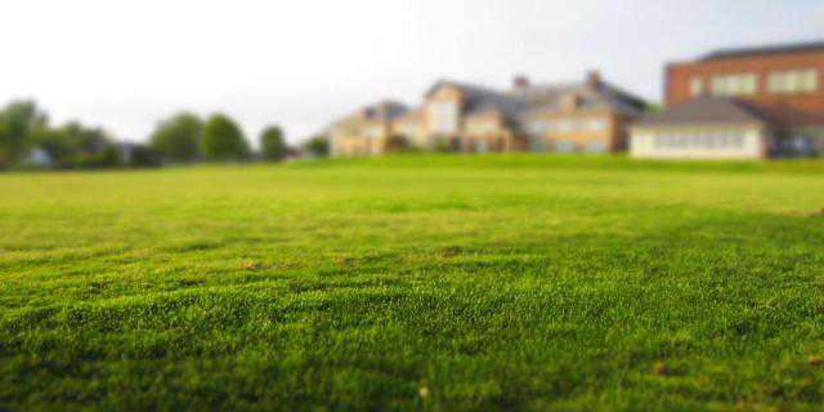 15 Reasons Why Realtors Should Hire Virtual Assistants