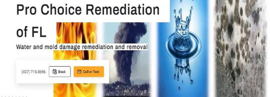 Pro Choice Remediation of FL Cover Image