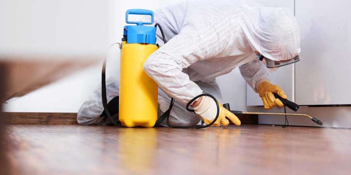Things to do before and after the pest control
