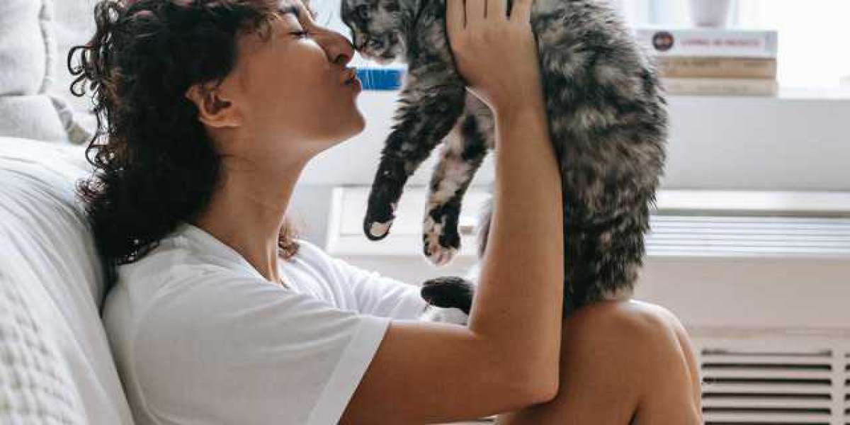 9 Ways to Help Your Cat Live a Long, Healthy Life