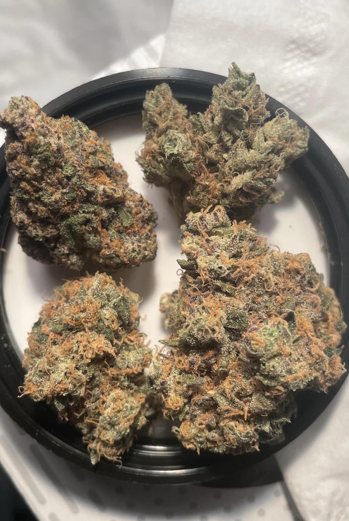 Buy Afghan Orange Kush Online - Cannabis Remedy Shop