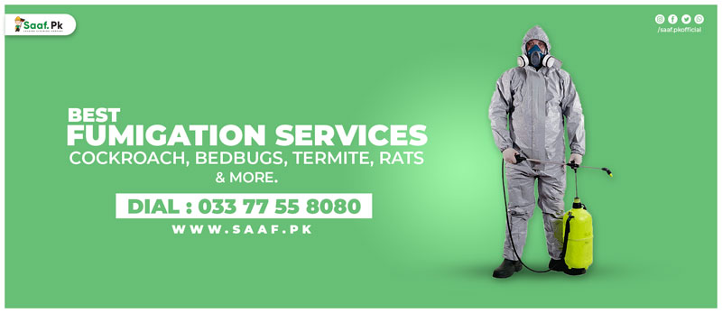 Fumigation in Karachi