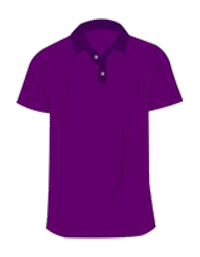 Sunglasses and Goggles