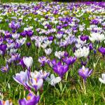 Grover Orme Profile Picture