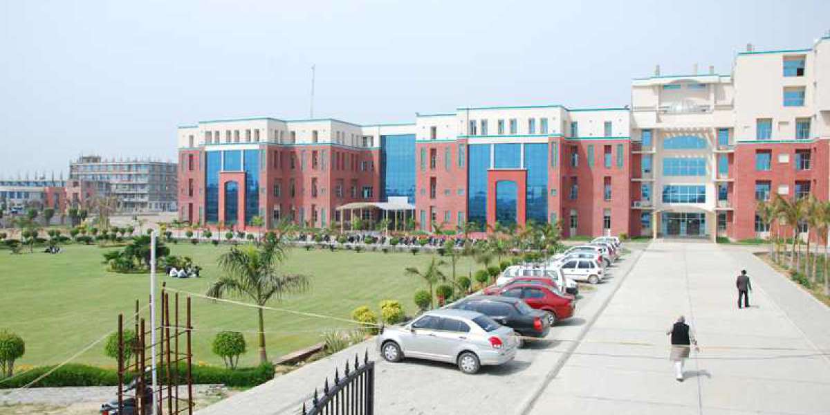 UP b.ed counselling