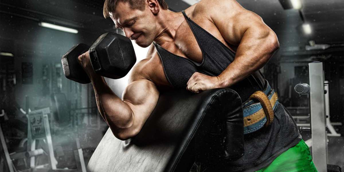 Bodybuilding Training