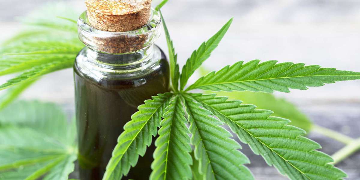 https://supplement24x7.com/hemp-bomb-cbd-gummies/