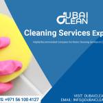 Deep Cleaning services Profile Picture