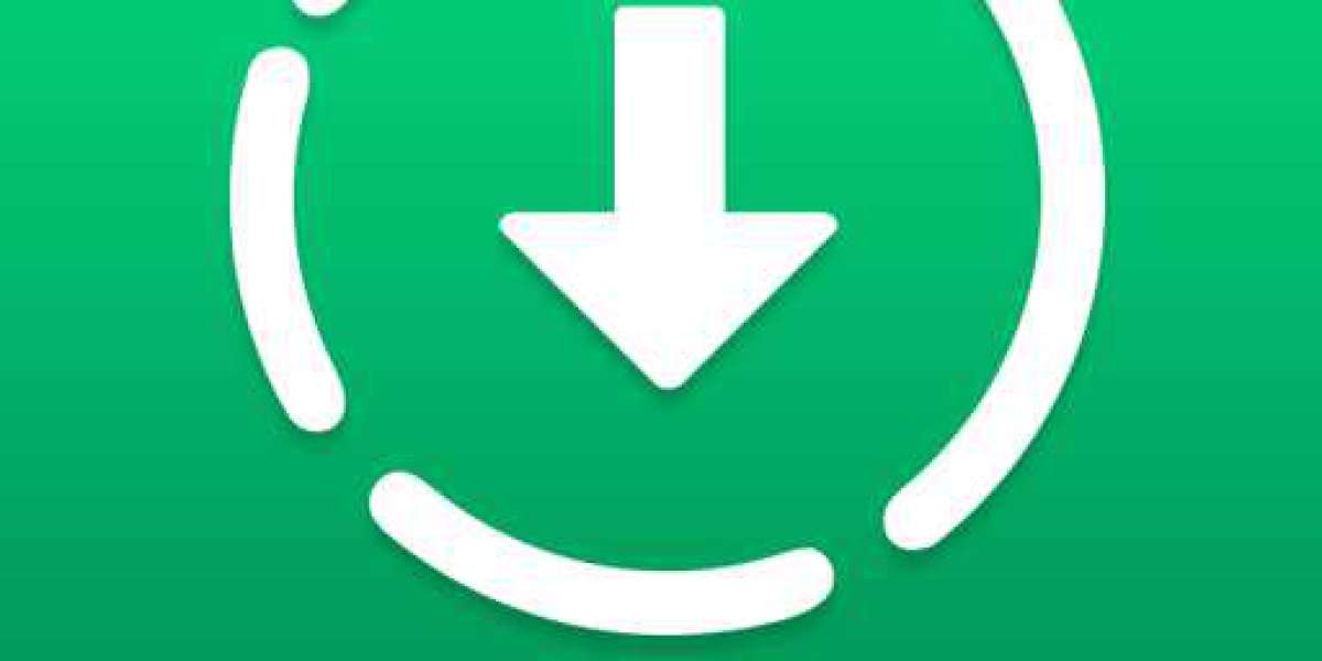 Is DP the same as a WhatsApp status?