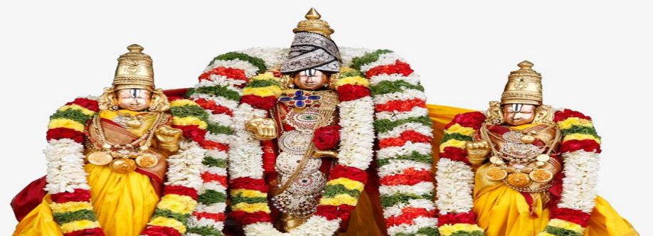 Padmavathi TravelsTnagar Cover Image