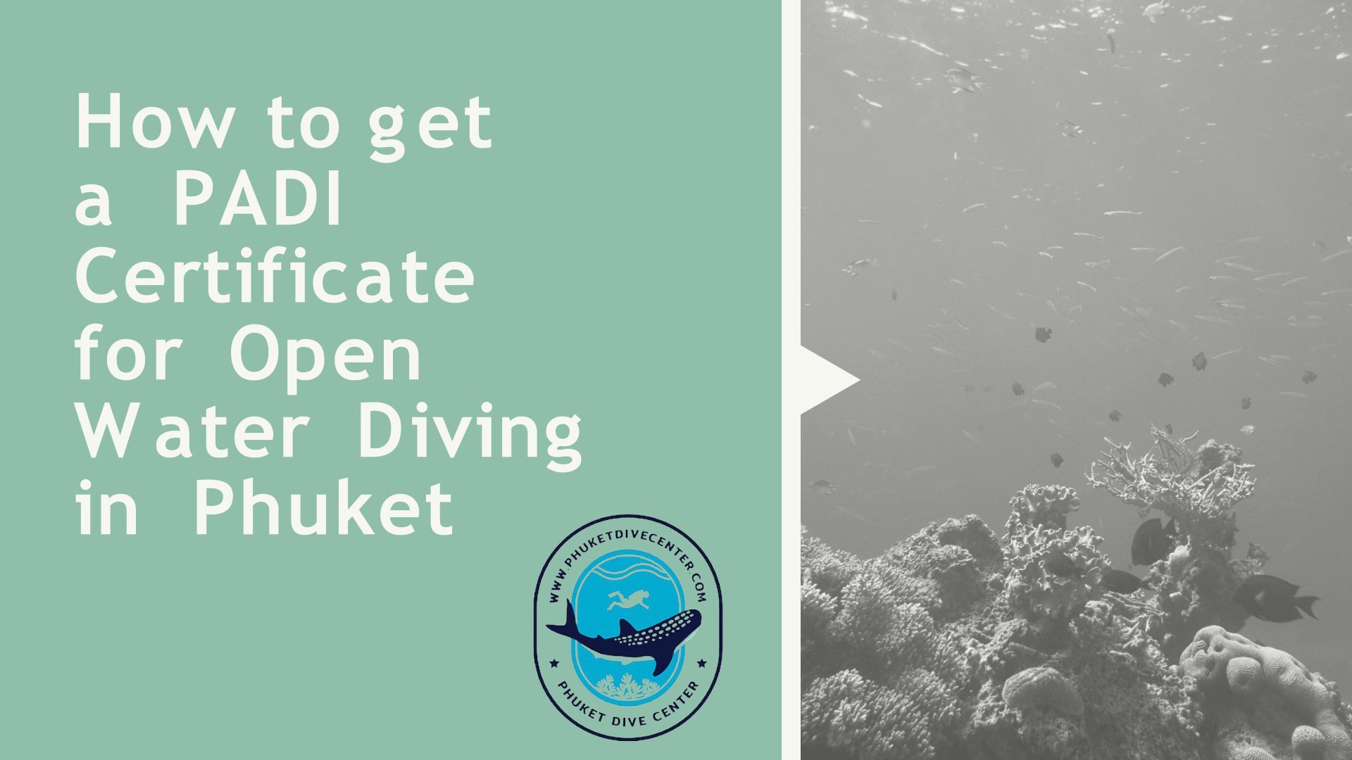 How To Get A PADI Certificate For Open Water Diving In Phuket