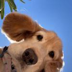 lovecasua lovecasua Profile Picture