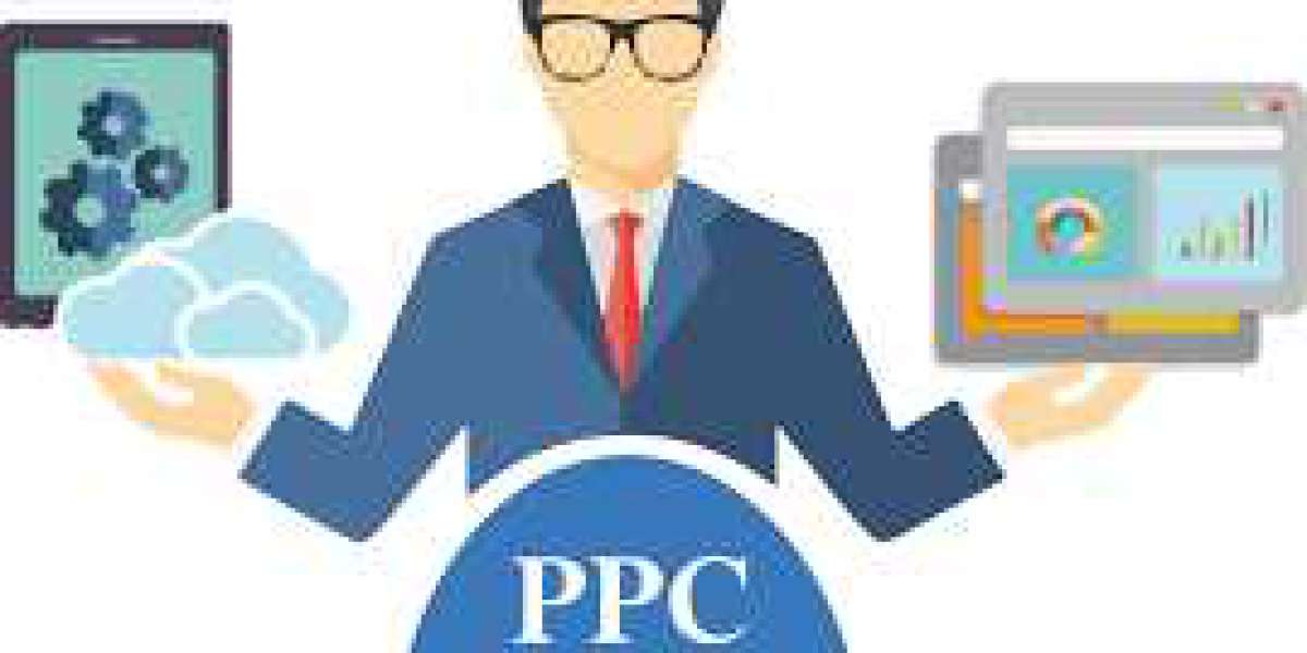 PPC Expert In Delhi