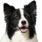 Jackson Leo Profile Picture