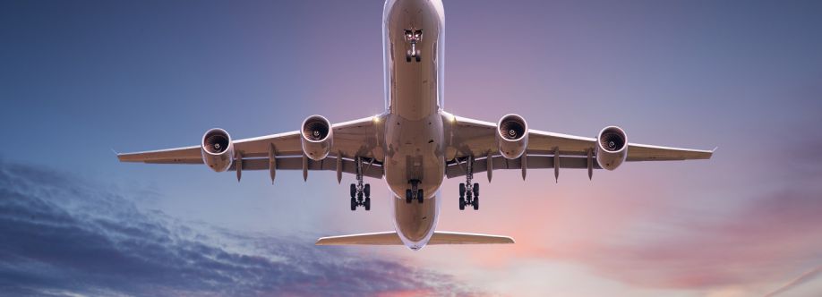 Menzies Aviation Cover Image