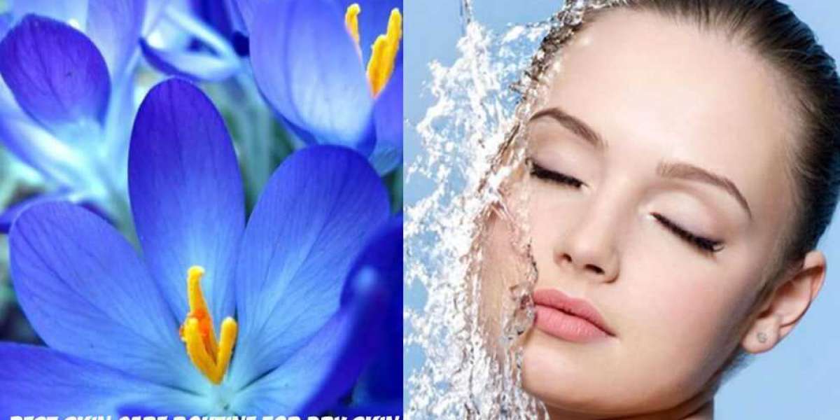 Best Skin Care Routine for Dry Skin