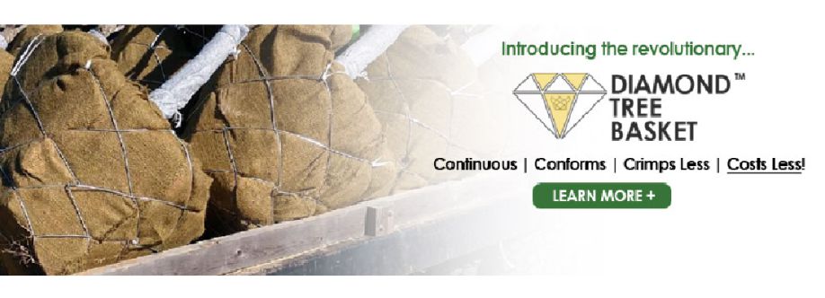 NYP Corp Cover Image