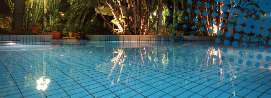 Everclear Pool Solutions Cover Image