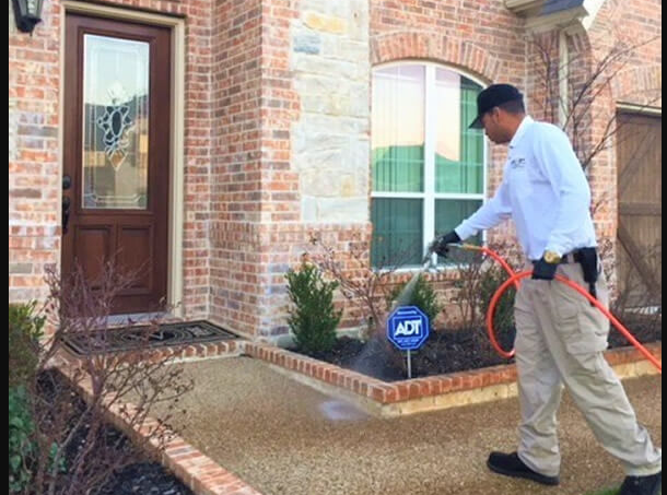 6 Reasons Why You Need a Pest Control Service