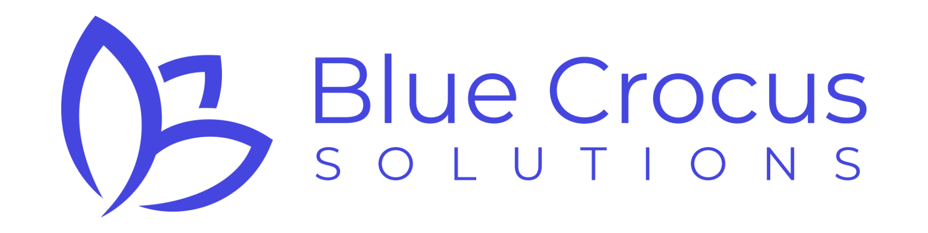 web development services
