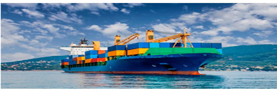 GM International Freight Forwarders Corp Cover Image