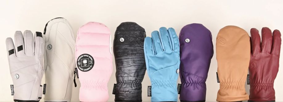 Brandi Paik Cover Image