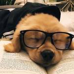 topbestb topbestb Profile Picture