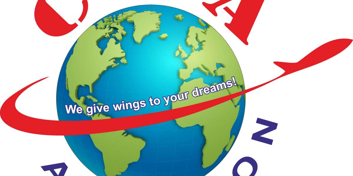 How To Choose The Right Flight School In India – A Comprehensive Guide