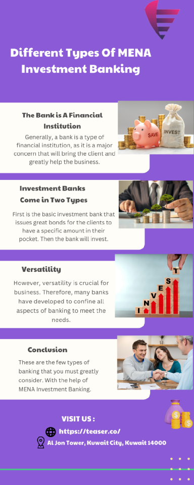 MENA Investment Banking | Teaser Platform