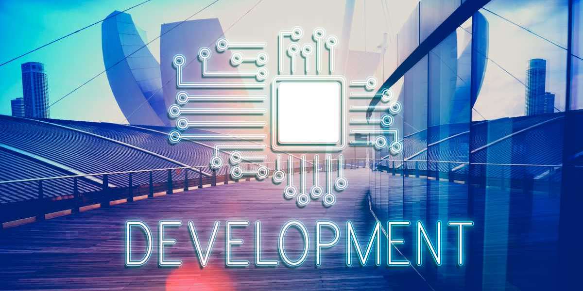 Which Is A Better Option - WordPress Or Custom Website Development?
