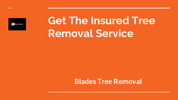 Get The Insured Tree Removal Service | edocr