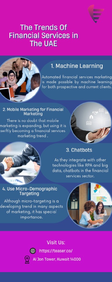 Financial Services in The UAE | Teaser Platform  | edocr