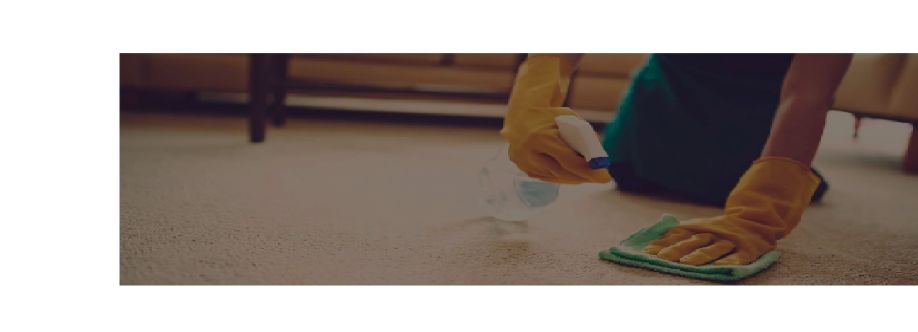 sandyfordcar petcleaning Cover Image