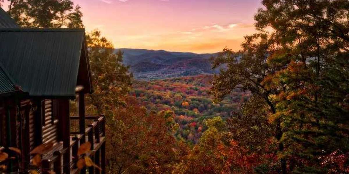 Here Are the Top 16 Cruises for 2023?