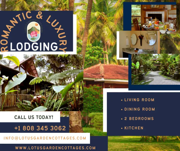 Modern & Unique Lodging in Volcano Hawaii - WriteUpCafe.com