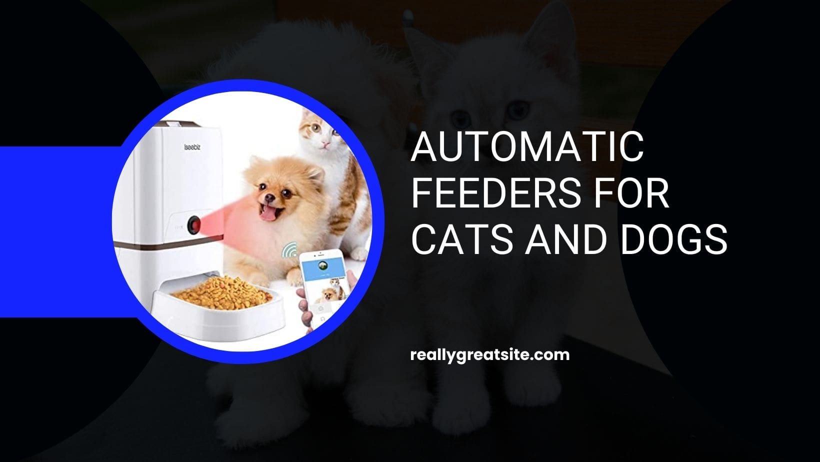 Best Automatic Feeders for Cats and Dogs: Best of 2022 | Dogzira