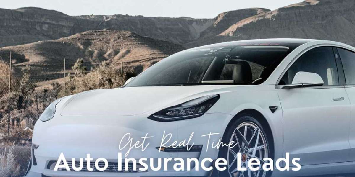Auto Insurance Leads